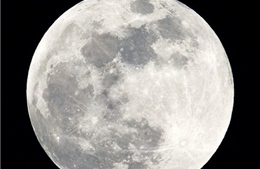 Bên trong Mặt Trăng có thể chứa nước 